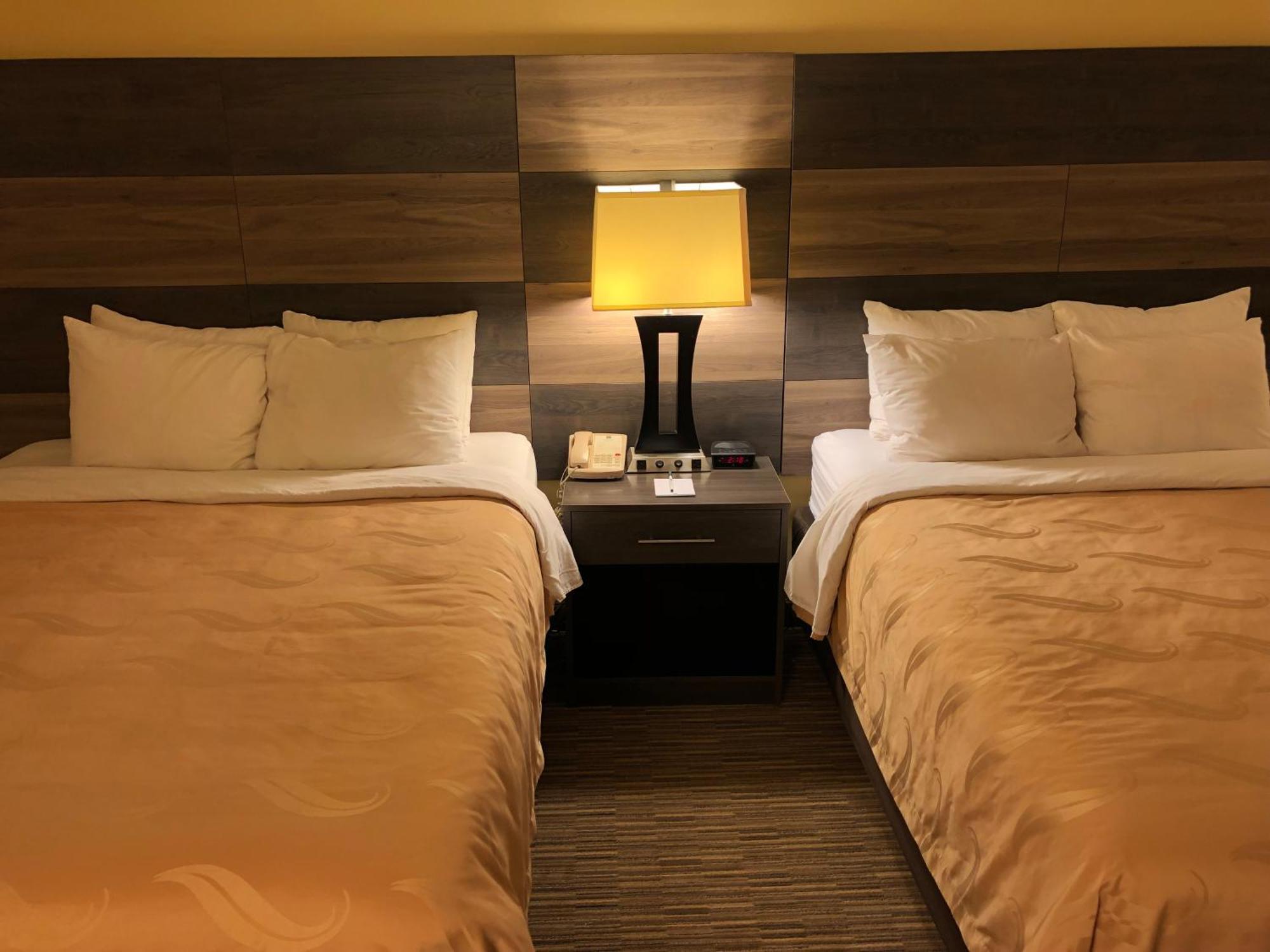 Quality Inn Bennettsville מראה חיצוני תמונה